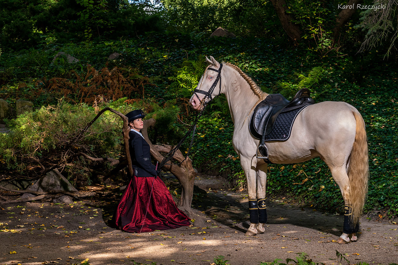 Sesja zdjęciowa z koniem