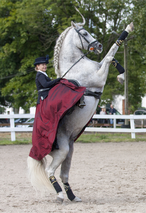 Katarzyna Cygler lewada