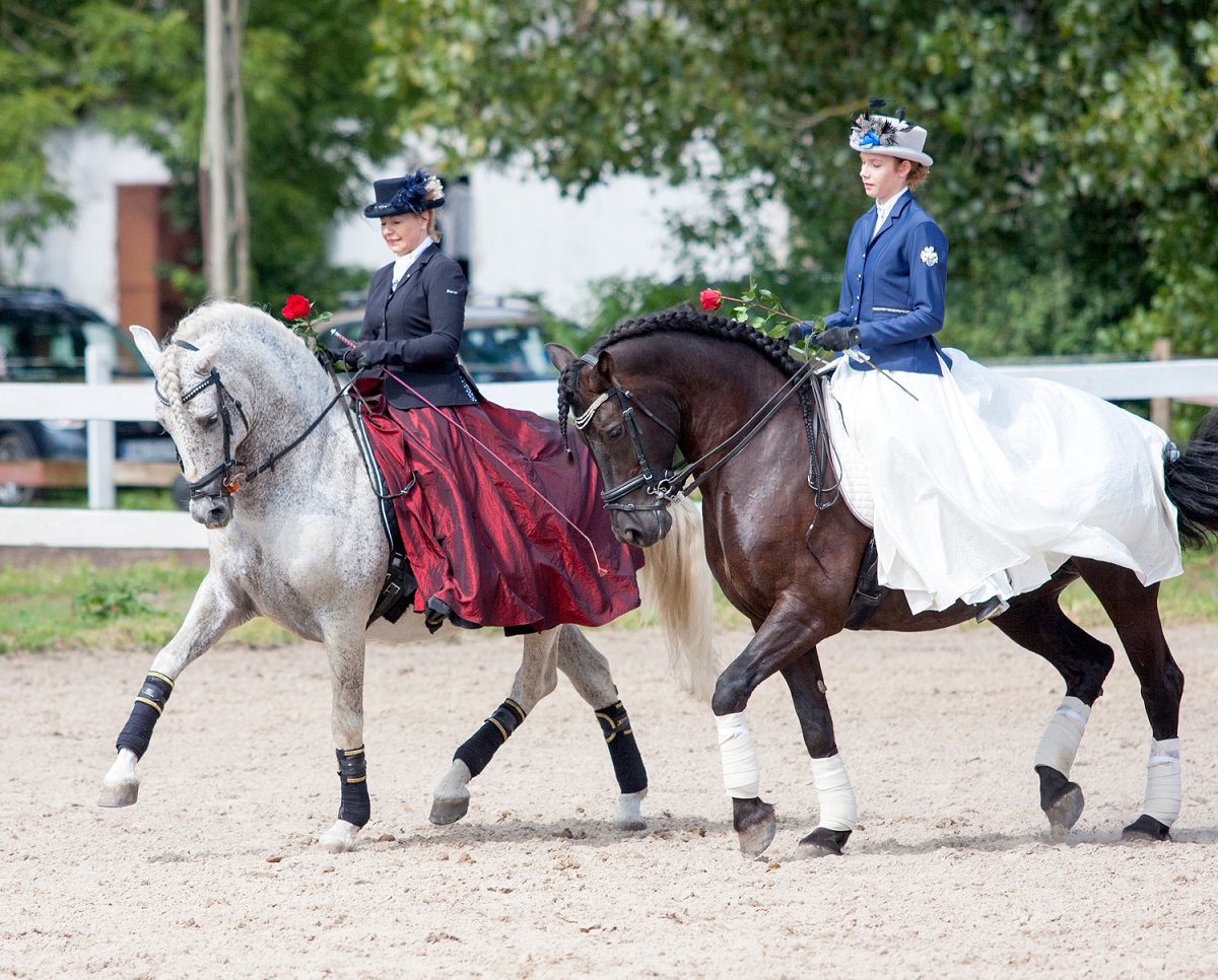teatr konny Cabriola